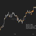Metaplanet stopped buying Bitcoin for months, concealing a ruthless arbitrage strategy that puts retail to shame