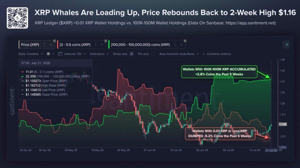 XRP’s $1.16 recovery gets support from whales and a $285 million ETF streak